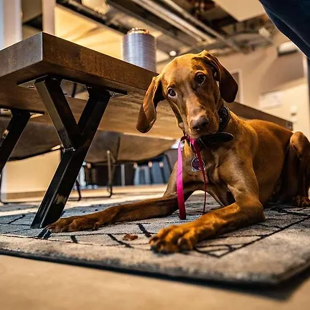 Maseven Messe Trudering Апарт-отель Мюнхен